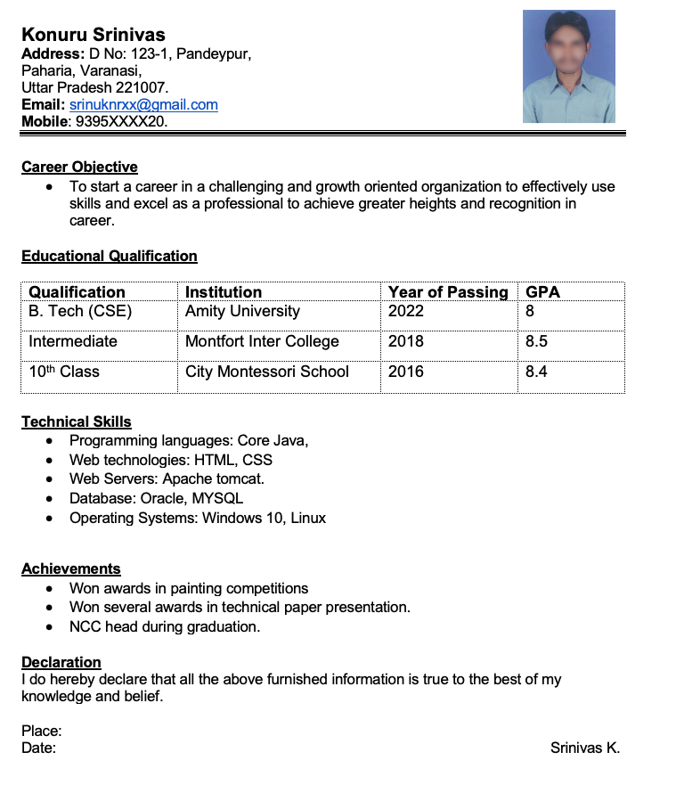 resume format download for freshers pdf